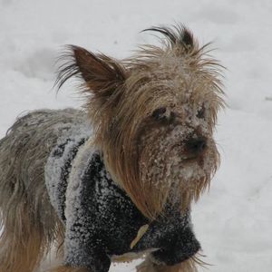 Meet your Posher, Gale